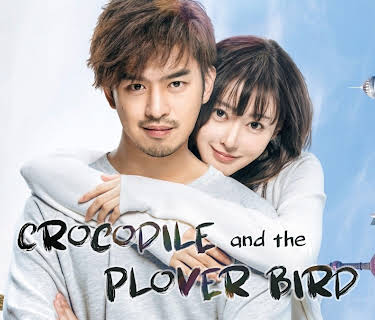 Crocodile and The Plover Bird