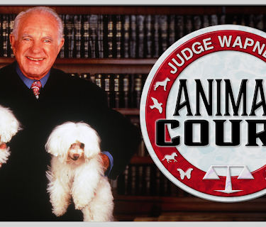 Judge Wapner's Animal Court