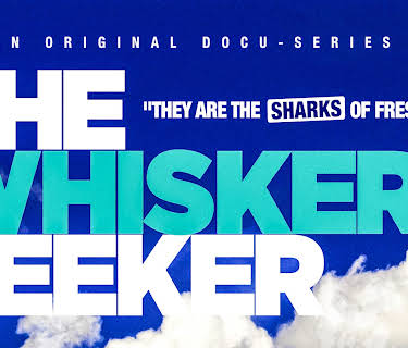 The Whisker Seeker (2017)