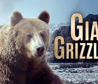 Giant Grizzlies (2019)
