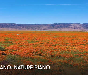 Zen Piano: Nature Piano (2023)