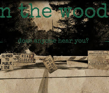 In The Woods (2010)