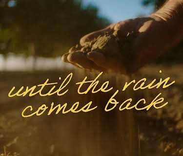Until the Rain Comes Back (2024)