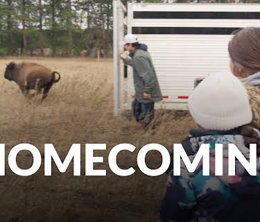 Homecoming (The American Buffalo) (2023)