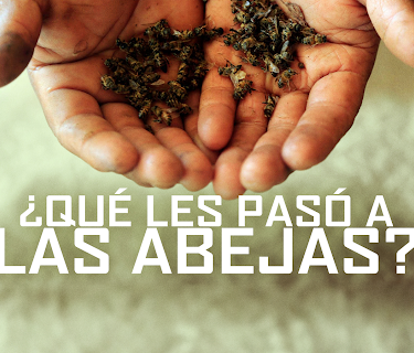 ¿Qué les pasó a las abejas? (2019)