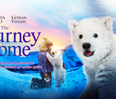 The Journey Home (2014)