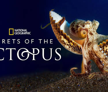 Secrets of the Octopus