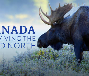 Canada: Surviving the Wild North (2022)