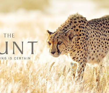 The Hunt