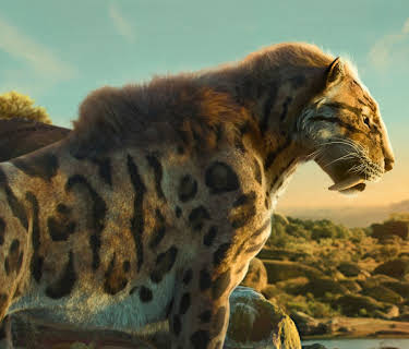 Livet på planeten vår