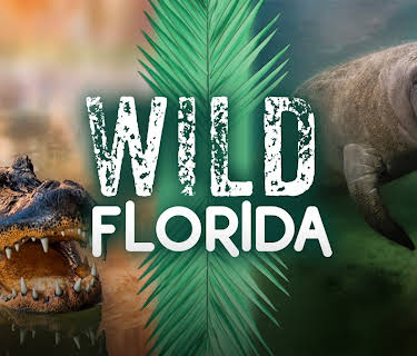 Wild Florida (1982)