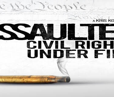 Assaulted: Civil Rights Under Fire (2013)