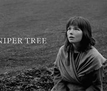 The Juniper Tree (1990)