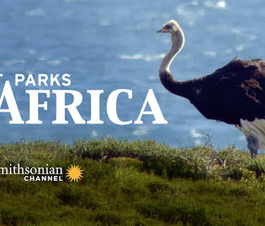 Great Parks Of Africa