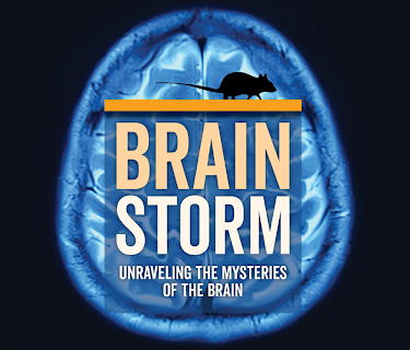 Brainstorm: Unraveling the Mysteries of the Brain (2024)