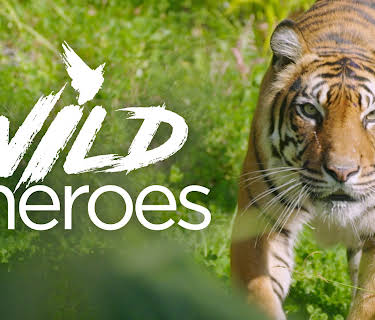 Wild Heroes, S1