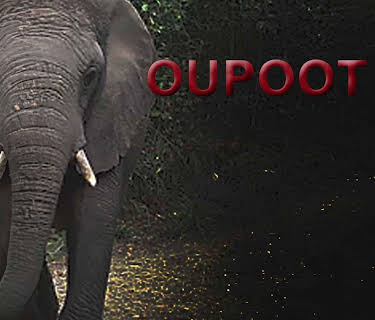 Oupoot (2022)