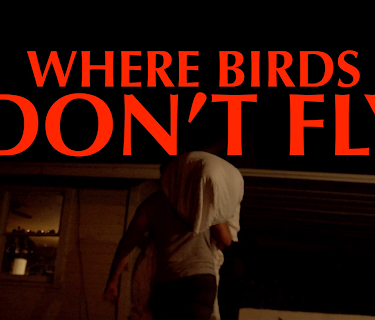 Where Birds Don't Fly (2017)