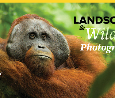 The National Geographic Guide to Landscape and Wildlife Photography