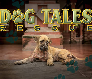 Dog Tales Rescue