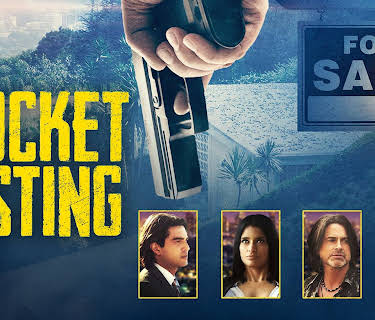 Pocket Listing (2016)