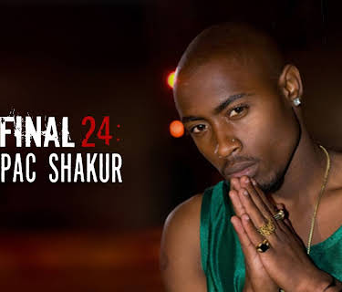 Tupac Shakur - Final 24 Hours of Tupac Shakur (2010)