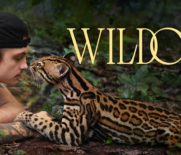 Wildcat (2022)