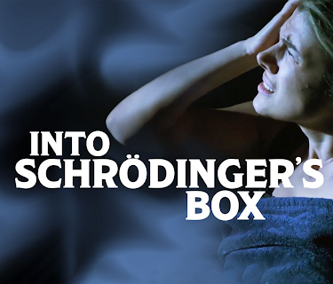 Into Schrödinger's Box (2022)