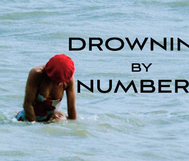 Drowning By Numbers (1991)