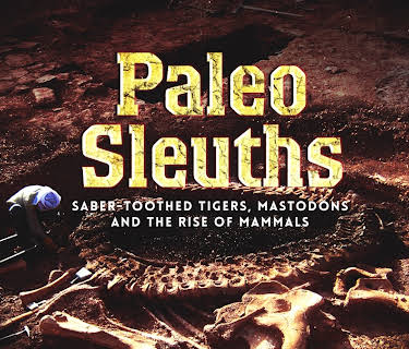 Paleo Sleuths (2018)