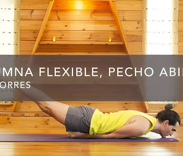 Columna flexible, pecho abierto (2016)