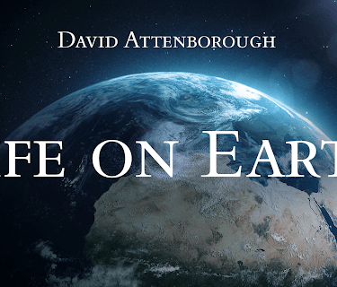 Life on Earth