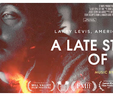 A Late Style of Fire: Larry Levis, American Poet (2016)