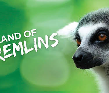 Land of Gremlins - Season 1 (4K UHD)