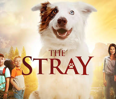 The Stray (2017)