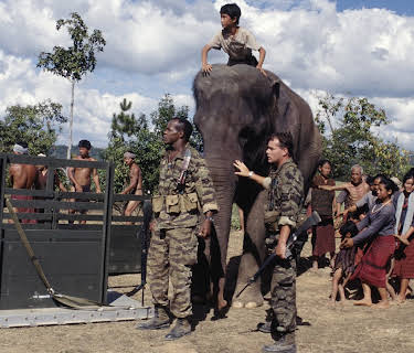 Operation Dumbo Drop (1995)