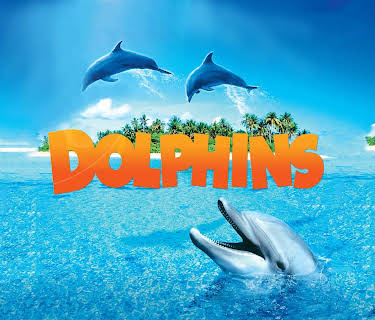 Dolphins (2000)