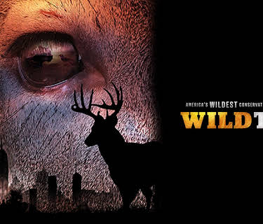 WildTail (2023)