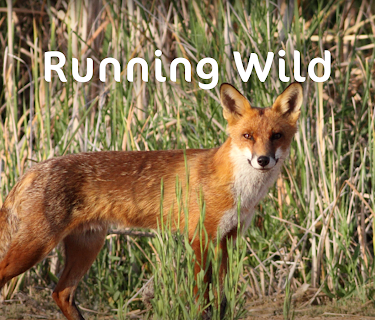 Running Wild (2016)