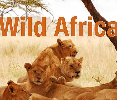 Wild Africa (2013)