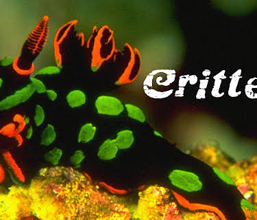Critters (2000)