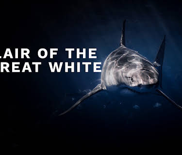 Lair of the Great White