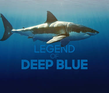 Legend Of Deep Blue (2019)