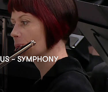 Sibelius – Symphony No. 1 (2015)