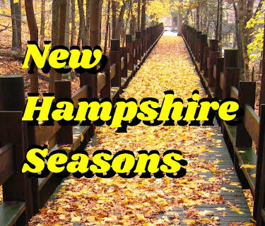 New Hampshire Seasons (2022)