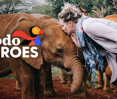 Dodo Heroes: Courage Up Close
