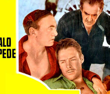 Buffalo Stampede (1933)