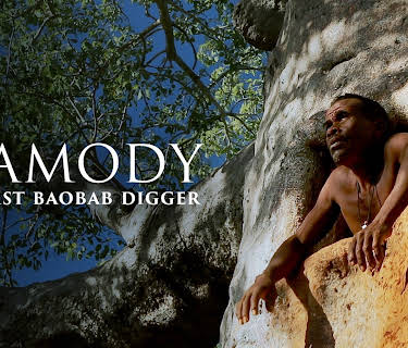 MAMODY THE LAST BAOBAB DIGGER (2024)