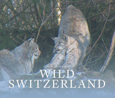 Wild Switzerland (2017)