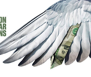 Million Dollar Pigeons (2022)
